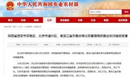 竹山农香最新爆料新闻视频,最新爆料视频深度解析